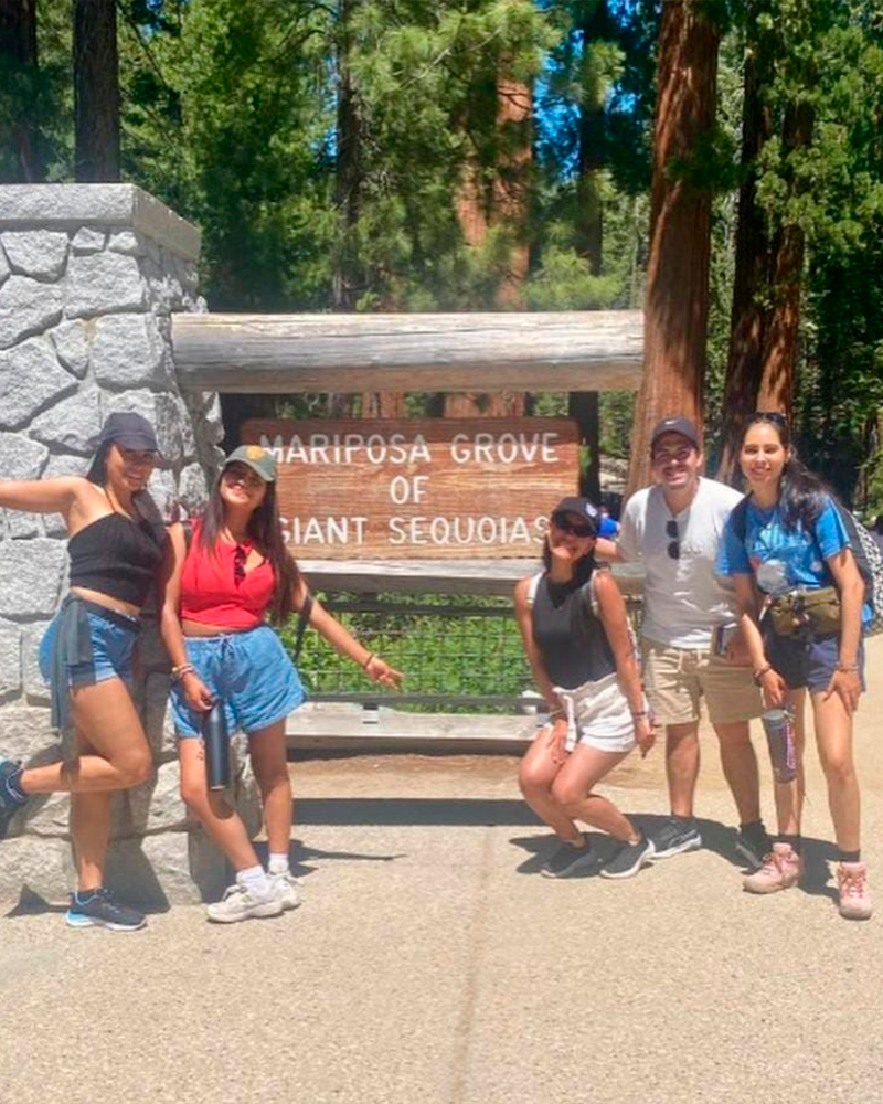 camps counselor forever experience 4